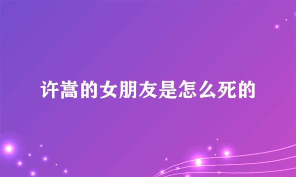许嵩的女朋友是怎么死的
