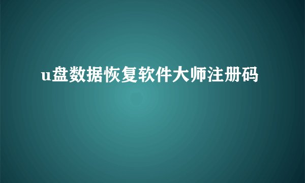 u盘数据恢复软件大师注册码