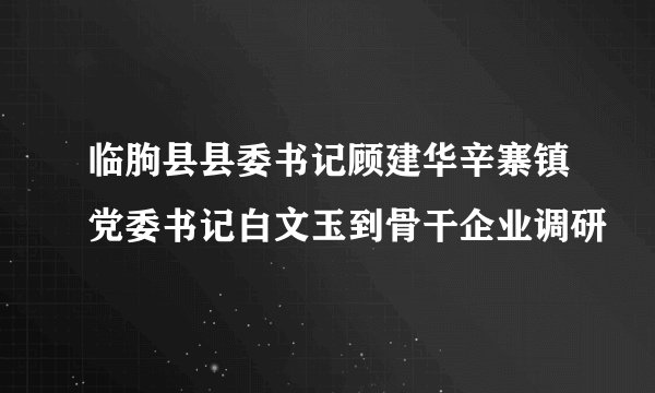 临朐县县委书记顾建华辛寨镇党委书记白文玉到骨干企业调研