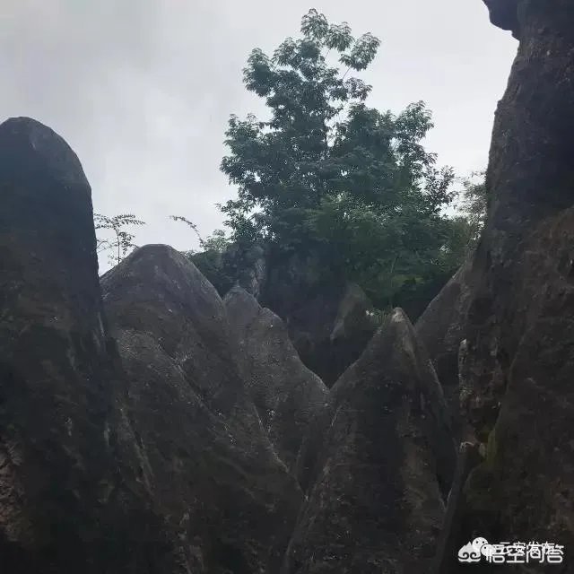 广东有哪些比较好玩的漂流项目?