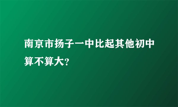 南京市扬子一中比起其他初中算不算大？