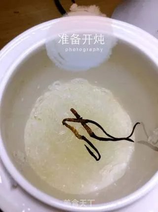 燕窝炖冬虫草