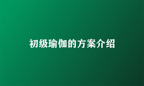 初级瑜伽的方案介绍