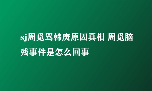 sj周觅骂韩庚原因真相 周觅脑残事件是怎么回事