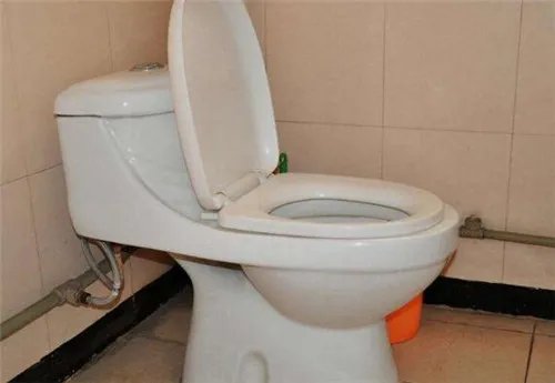 往马桶里扔纸会堵吗