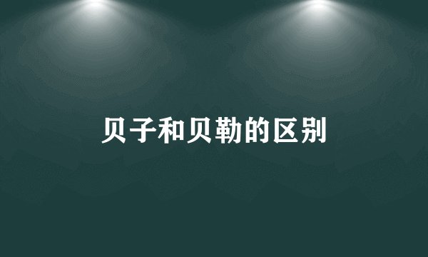 贝子和贝勒的区别