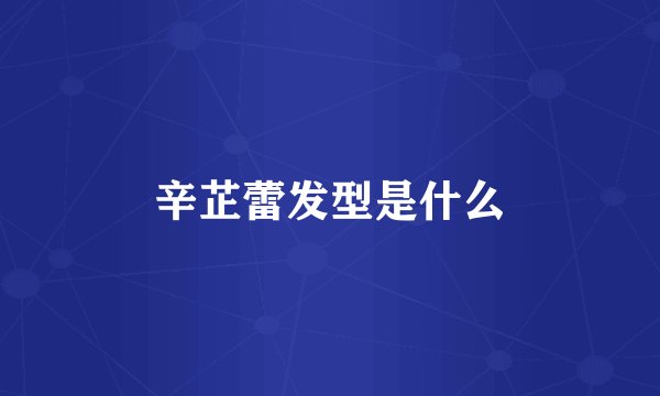 辛芷蕾发型是什么