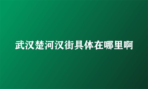 武汉楚河汉街具体在哪里啊