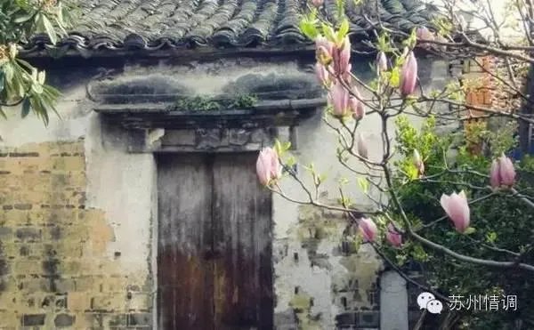 苏州有哪些值得一看的古建筑?