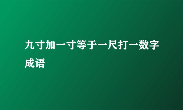九寸加一寸等于一尺打一数字成语