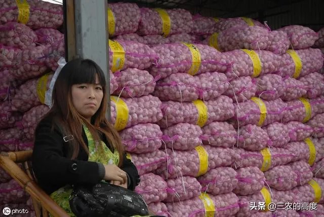 大蒜降价了