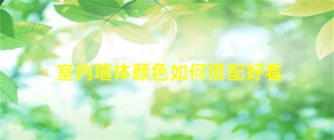 室内墙体颜色如何搭配好看