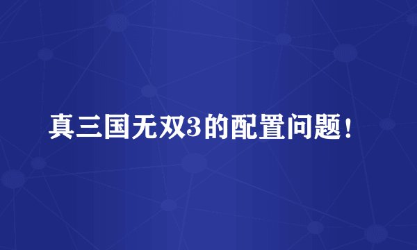 真三国无双3的配置问题！