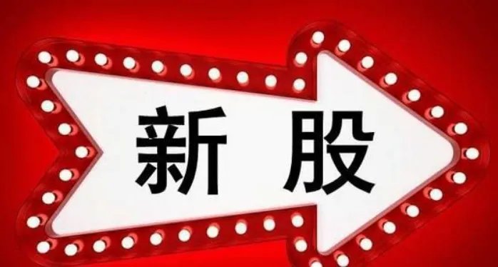 如何查询自己申购的新股有没有中签？