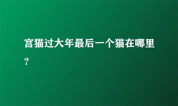 宫猫过大年最后一个猫在哪里？