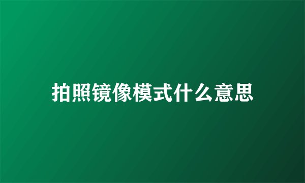 拍照镜像模式什么意思