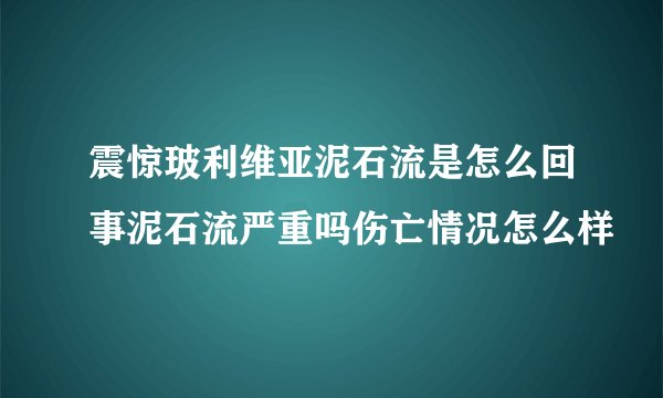 震惊玻利维亚泥石流是怎么回事泥石流严重吗伤亡情况怎么样