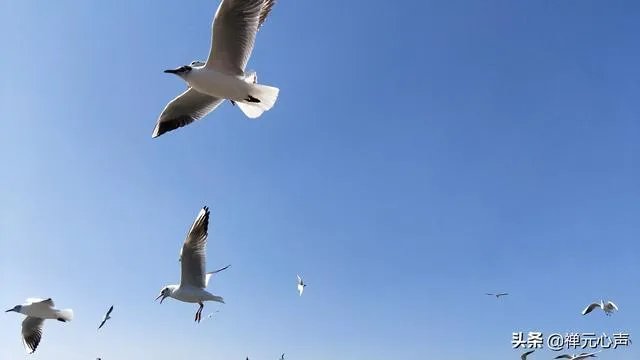 2021年的春节你是怎么过的?