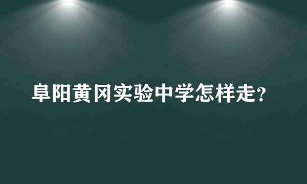 阜阳黄冈实验中学怎样走？