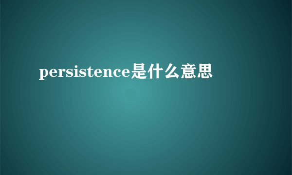 persistence是什么意思