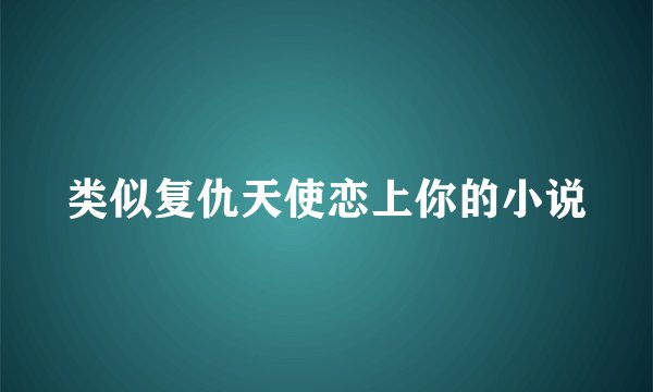 类似复仇天使恋上你的小说