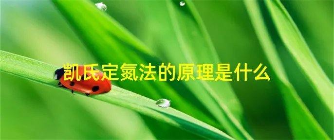 凯氏定氮法的原理是什么