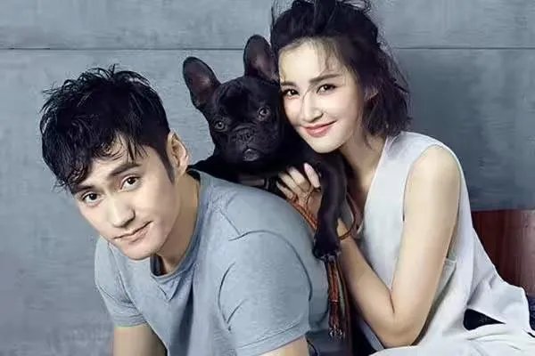 产后复出的张歆艺人气大不如前，这是为何？