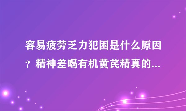 容易疲劳乏力犯困是什么原因？精神差喝有机黄芪精真的有用吗？
