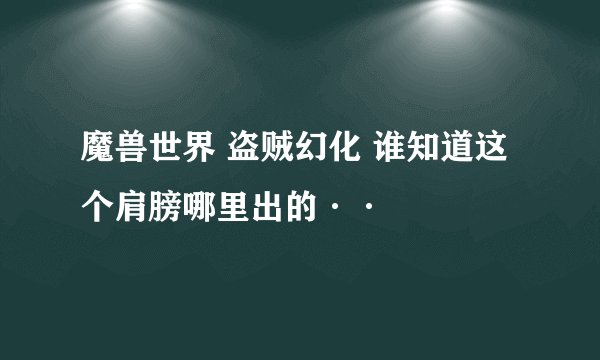 魔兽世界 盗贼幻化 谁知道这个肩膀哪里出的··