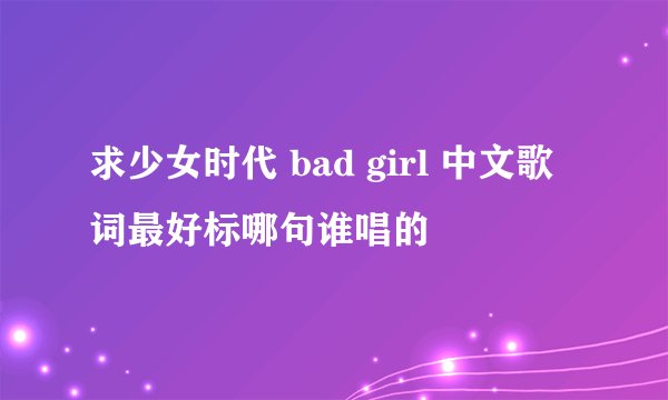 求少女时代 bad girl 中文歌词最好标哪句谁唱的