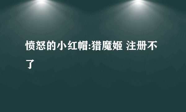 愤怒的小红帽:猎魔姬 注册不了