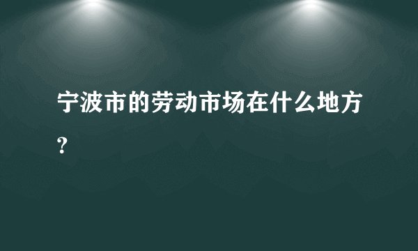 宁波市的劳动市场在什么地方？