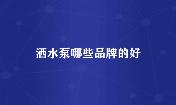 洒水泵哪些品牌的好