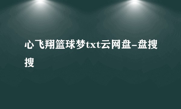 心飞翔篮球梦txt云网盘-盘搜搜