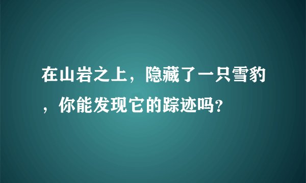 在山岩之上，隐藏了一只雪豹，你能发现它的踪迹吗？