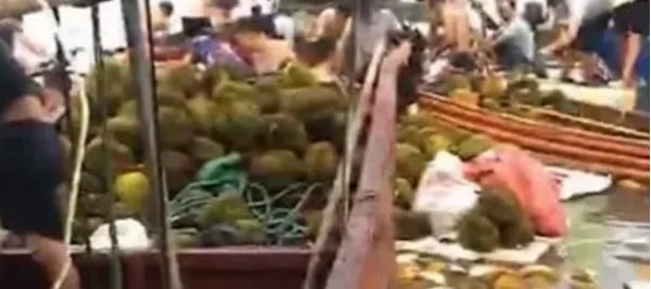 哄抢榴莲村民食物中毒,中毒的责任谁担?