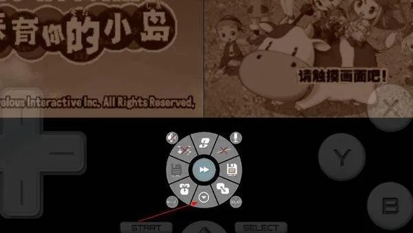 谁能教我一下DraStic激烈NDS模拟器怎么用金手指啊，是安卓版的