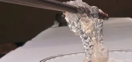 鲜炖燕窝怎么做