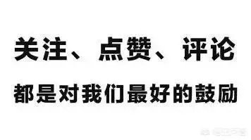 什么车既能轻度越野又能当房车？