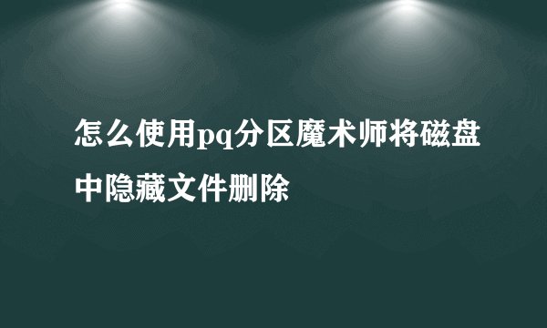 怎么使用pq分区魔术师将磁盘中隐藏文件删除