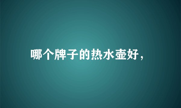 哪个牌子的热水壶好,