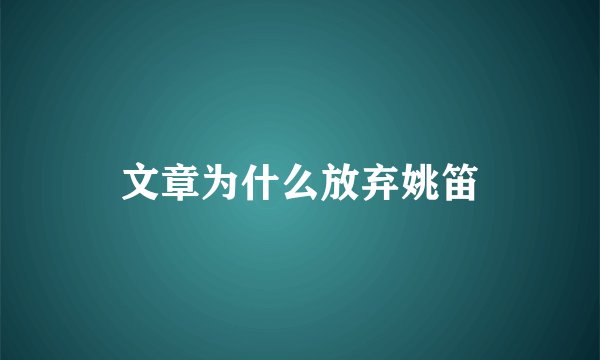 文章为什么放弃姚笛