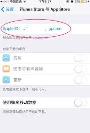 app store 查看apple id进不去