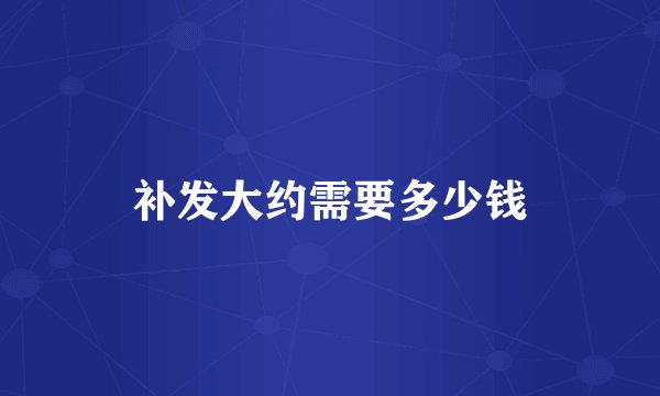 补发大约需要多少钱