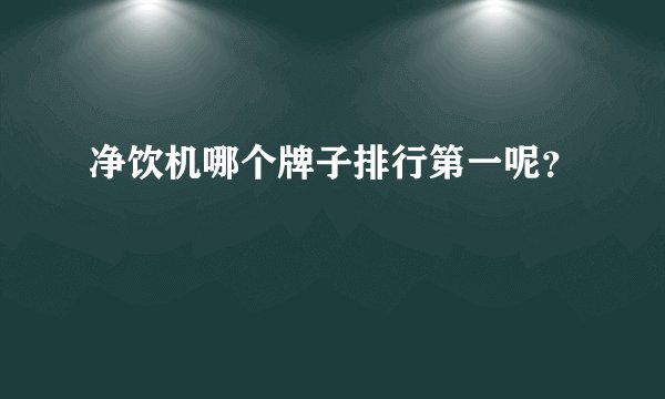 净饮机哪个牌子排行第一呢？