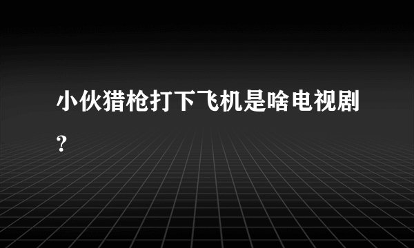 小伙猎枪打下飞机是啥电视剧?