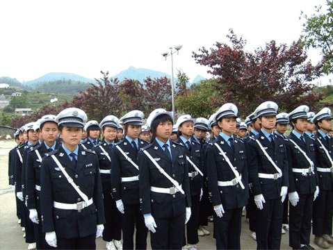 教练出车祸2名学员身亡事件,交警大队是如何回应的?
