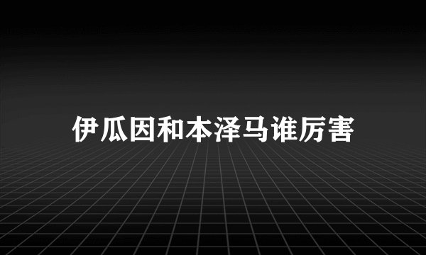 伊瓜因和本泽马谁厉害