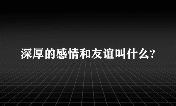 深厚的感情和友谊叫什么?