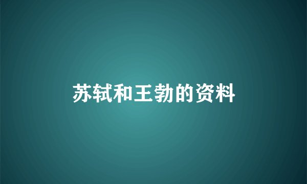 苏轼和王勃的资料